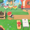 Map expansion in Animal Crossing
