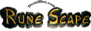 What I get from the runescape game